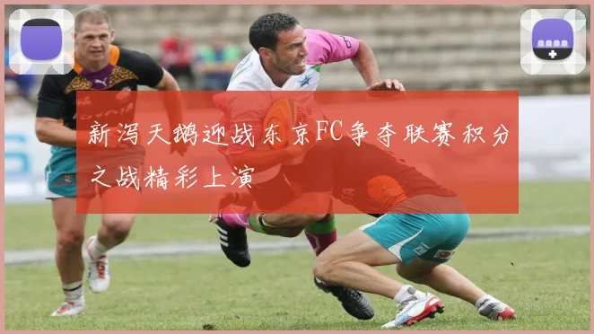 新泻天鹅迎战东京FC争夺联赛积分之战精彩上演
